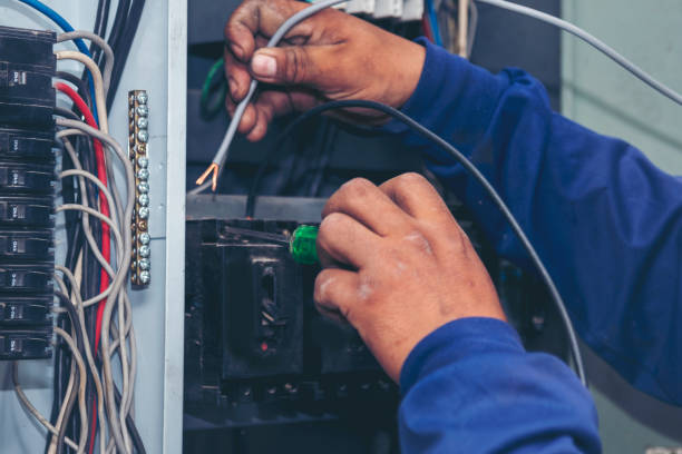 Best Local Electrician Companies  in Ripon, WI