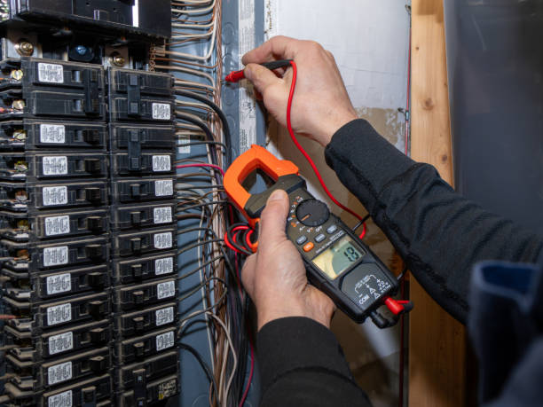 Best Ceiling Fan Installation Electrician  in Ripon, WI